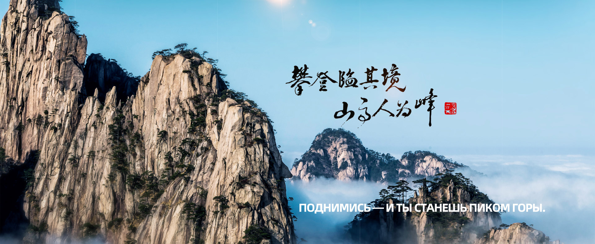 蘑菇视频播放大全